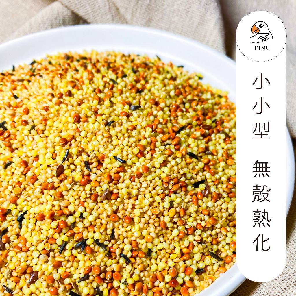 小小型無殼600g