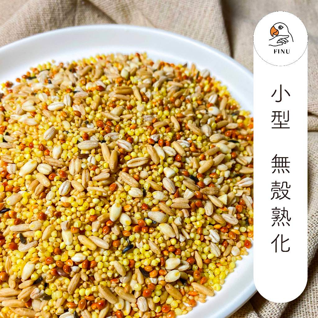 小型無殼600g